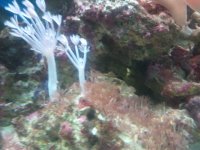 2011-09-04 14.49 (1).jpg