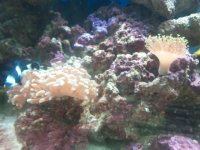 2011-09-04 14.49 (2).jpg