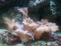 2011-09-04 14.49 (3).jpg