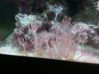 2011-09-04 14.49 (4).jpg