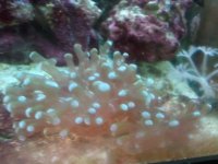 2011-09-04 14.49.jpg