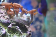 IMG_0415.jpg