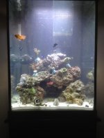 photo 2 (1).jpg