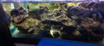 Tank Break Down A IMG_2024.jpg