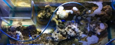 Tank Break Down B IMG_2022.jpg