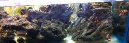 Tank Break Down C  IMG_2023.jpg