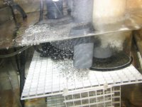 salt creep 005.jpg
