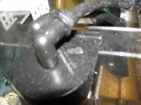 salt creep 009.jpg