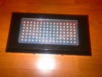 IMG-20111219-00076.jpg