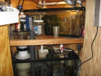 full sump and fuge.jpg