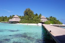 Maldives9.jpg