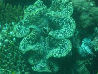 IMG_0325.jpg