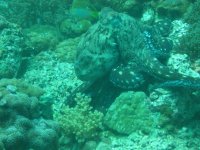 IMG_0330.jpg