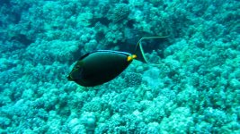 IMG_0479.jpg
