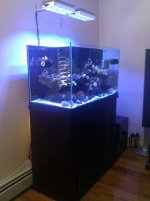 IMG_20120116_105807.jpg