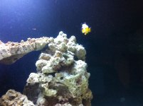 IMG_0908.JPG