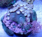 IMG_5224.jpg