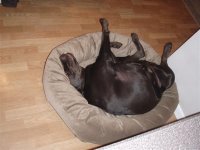P1220110 (Custom).JPG