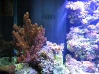 4-07-06 034.jpg