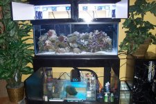 75gallon.jpg