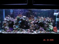 7_DSC03449_edited_1[1].jpg