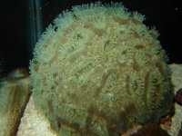 DSC01258 (Small).JPG