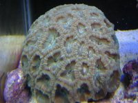 IMG_0287 (Small).JPG