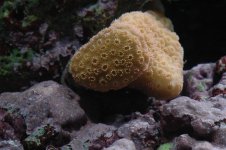 DSC_1201 (Custom).JPG