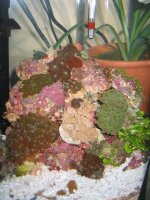 IMG_0123.JPG