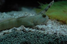 DSC_1210 (Custom).JPG