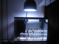 P1010138.JPG