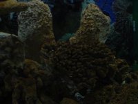 FishTank028.jpg