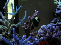 IMG_0085.JPG