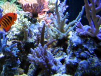 IMG_0201.JPG