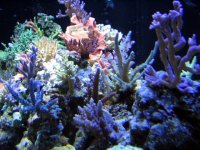 IMG_0206.JPG
