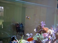 IMG_0196.JPG