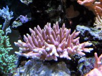 IMG_0162.JPG