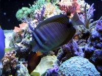 IMG_0209.JPG