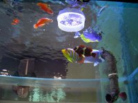 IMG_0219.JPG