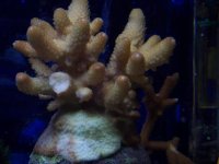 000_4081.JPG