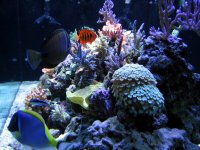 IMG_0075.JPG