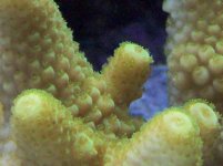 100_12771.JPG