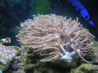 Copy (2) of P7200014.JPG