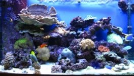 IMG_0664 (320x182).jpg