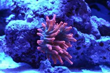 IMG_4519_s.jpg