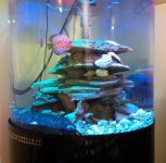 LED and Discus B IMG_2041.jpg