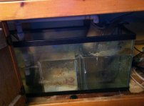 dpiru_sump_1[1].JPG