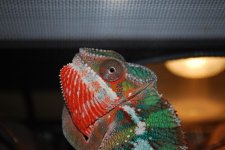 DSC_0392.jpg