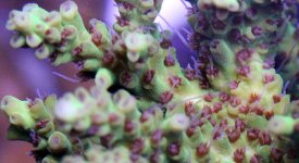 slideshow_9.jpg