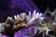 slideshow_8.jpg